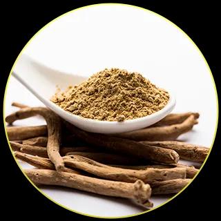 ASHWAGANDHA EXTRACTS