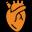 Supports Good Cardiovascular Health