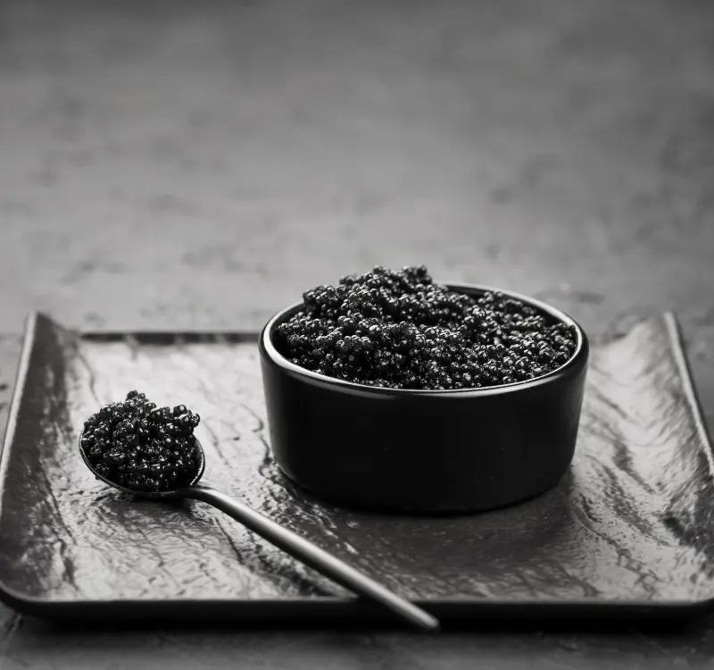 Is Shilajit Good for Diabetes? Here’s Why Diabetes Patients Are Turning to It