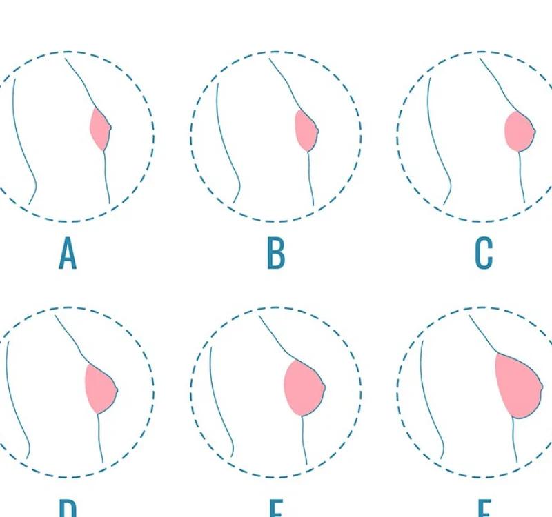 Breast Development: 5 Main Stage You Should Know About