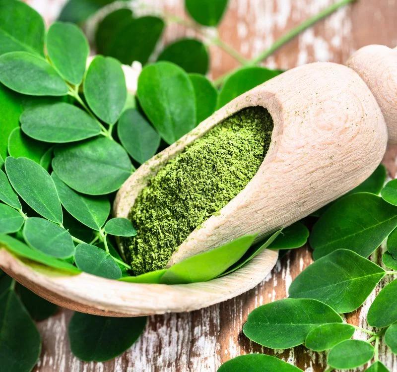 How is Moringa Beneficial for Diabetes? A Natural Remedy To Control Sugar Levels