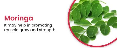 Moringa