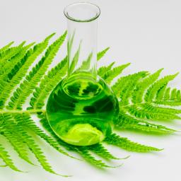 Neem Liquid Extract