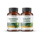 Ayuvya Giloy & Moringa Capsules Combo Pack