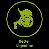 Better Digestion