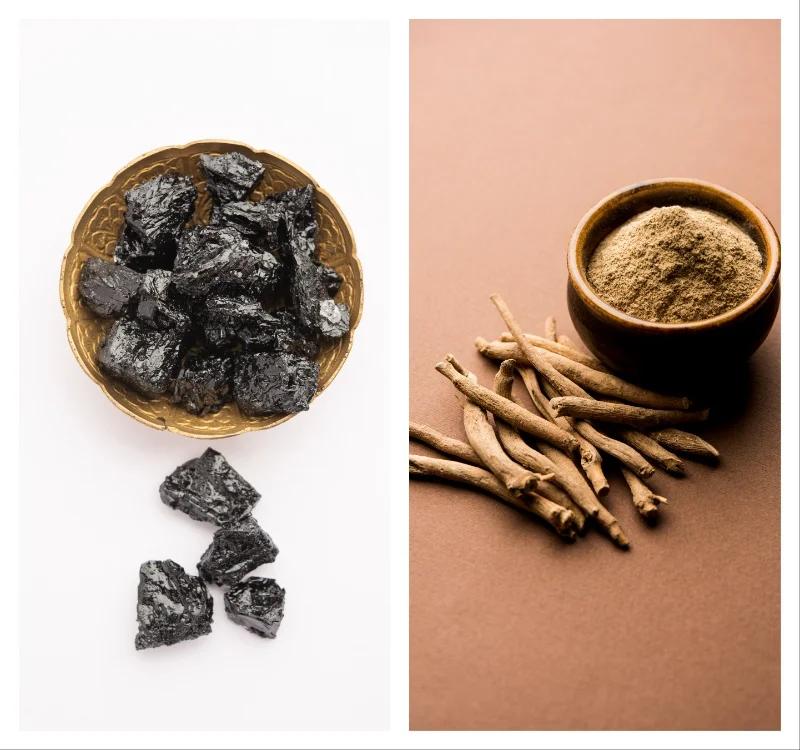 How To Use Ashwagandha And Shilajit Together To Boost Strength And Overall Health?