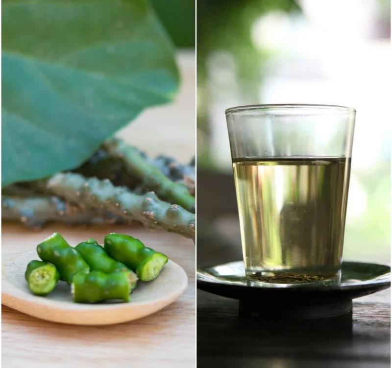 Learn How To Defeat Diseases Through The Benefits of Giloy Juice