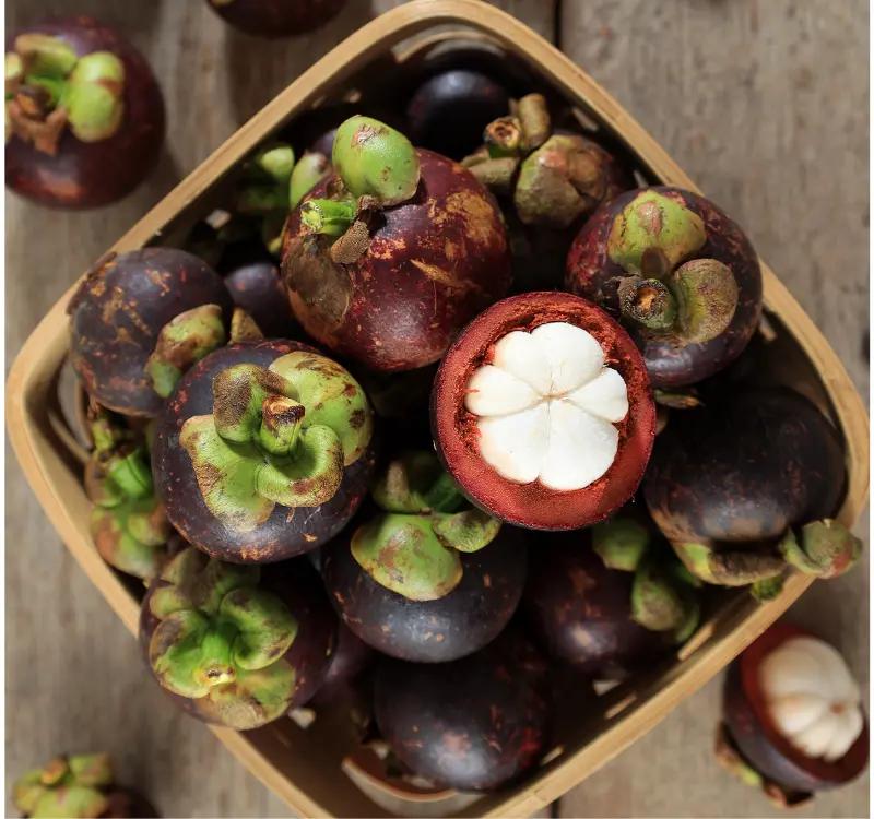Kokum Butter: Your Ultimate Guide to Benefits for Skin
