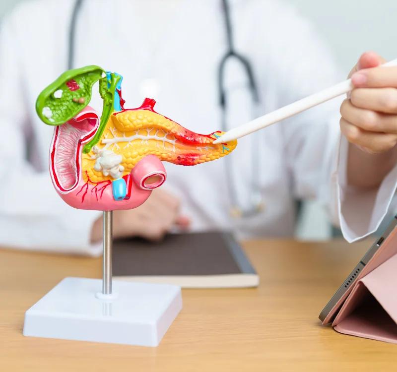 Ayurvedic treatment for pancreatitis: Causes, Symptoms, Natural Remedies