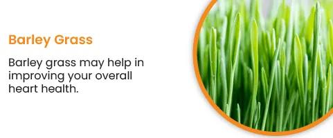 Barley Grass - Adding barley grass to your diet is a great way to support heart health.