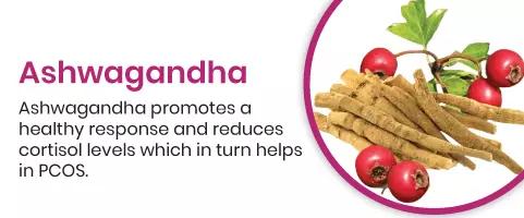 Ashwagandha promotes a healthy response and reduces cortisol levels which in turn helps in PCOS
