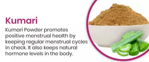 Kumari Powder promotes positive menstrual health by keeping regular menstrual cycles in check. It also keeps natural hormone levels in the body