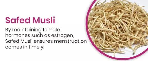 Safed Musli By maintaining female hormones such as estrogen, Safed Musli ensures menstruation comes in timely.