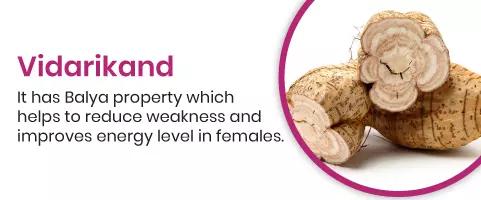 Vidarikand It has Balya property which helps to reduce weakness and improves energy level in females.