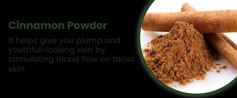 Cinnamon Powder