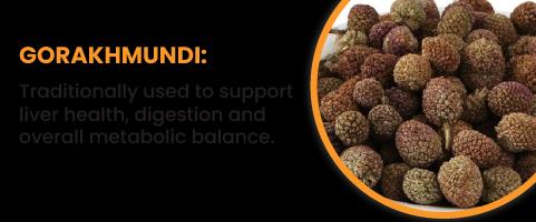 GORAKHMUNDI