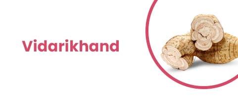 Vidarikhand
