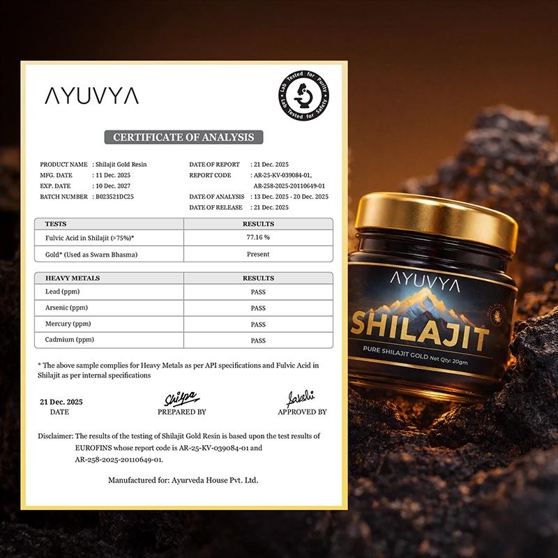 Ayuvya Shilajit Combo