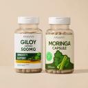 Ayuvya Giloy & Moringa Capsules Combo Pack