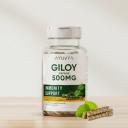Ayuvya Giloy Capsules | 500mg