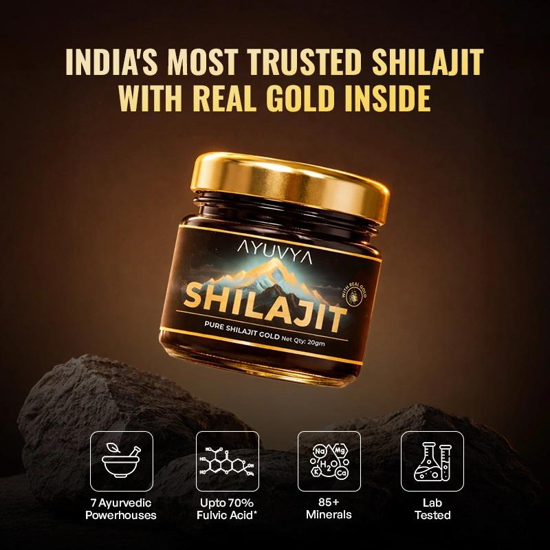 Ayuvya Shilajit Gold